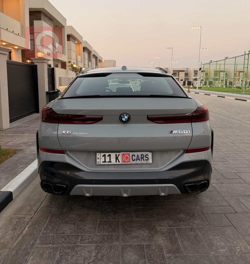 BMW X6